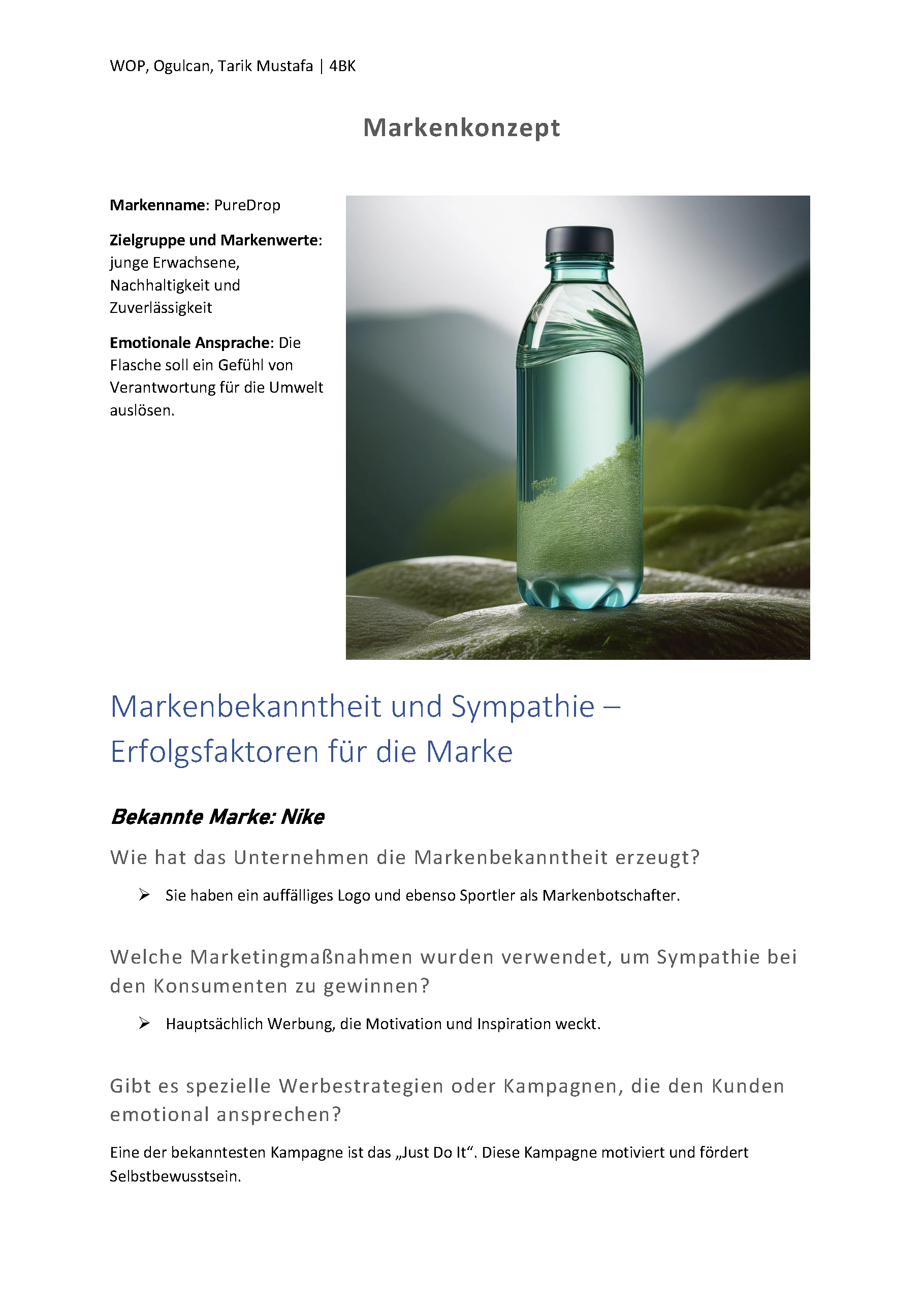 Markenpolitik Seite 2 – BMW in den USA